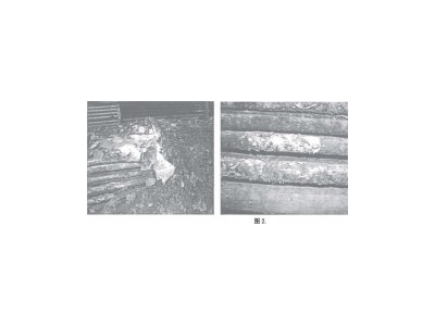 正航儀器石油煉廠腐燭案例分析與全面腐油